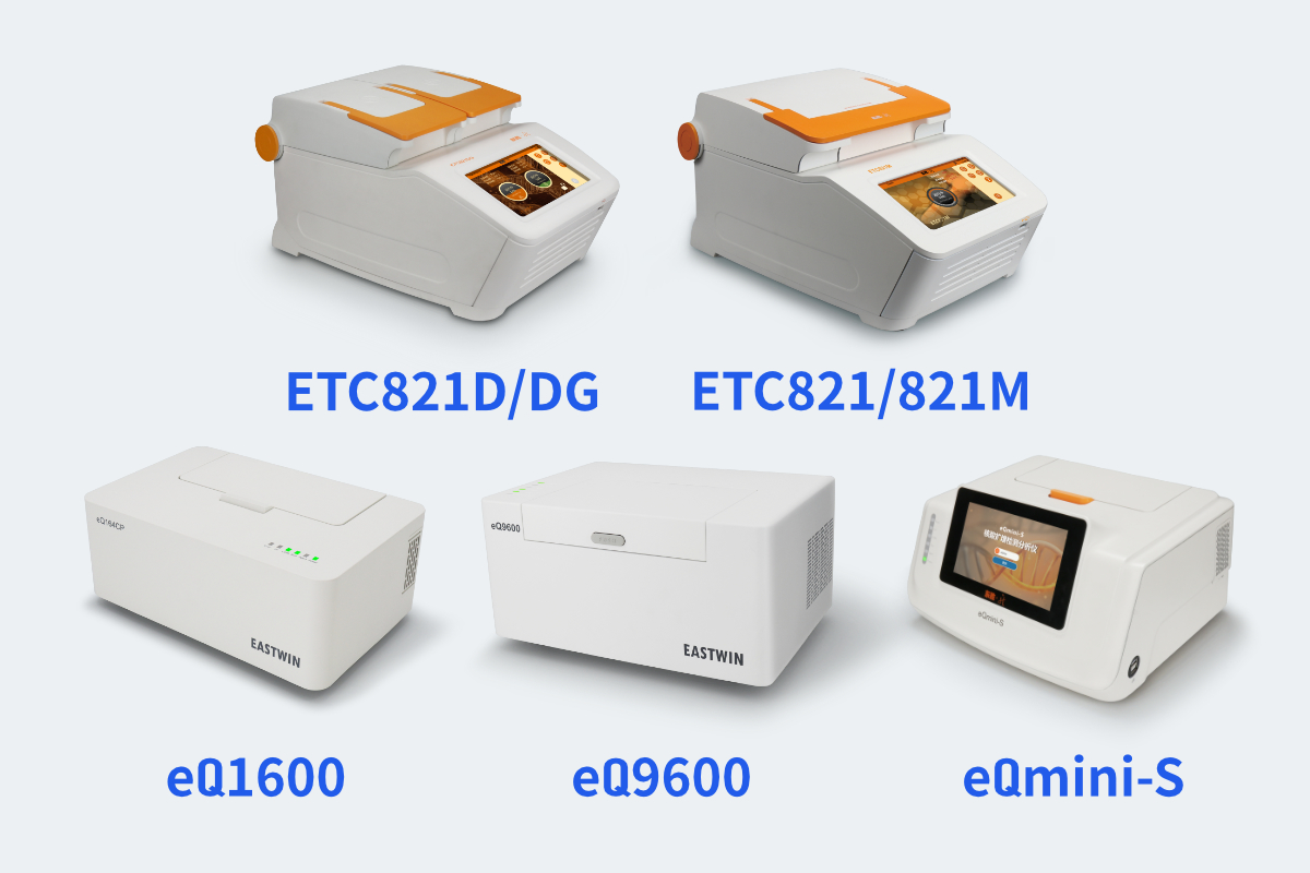 大象视颇dxvv55xyz